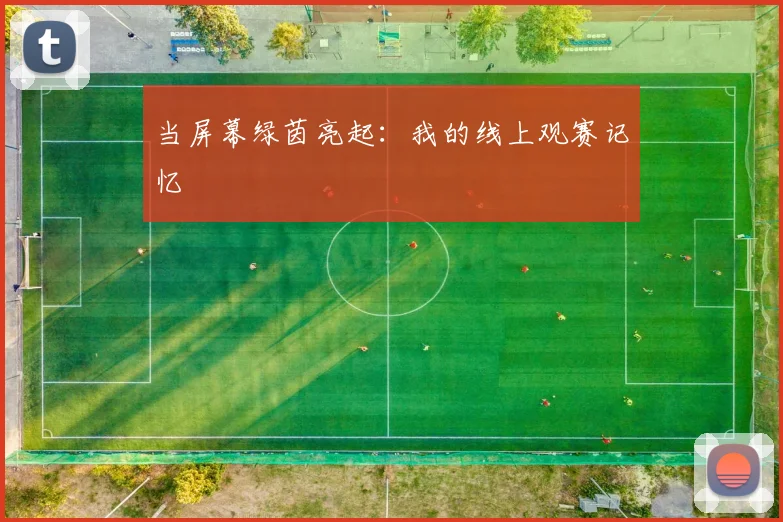 当屏幕绿茵亮起：我的线上观赛记忆
