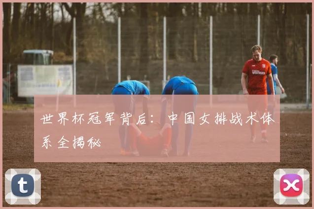世界杯冠军背后:中国女排战术体系全揭秘
