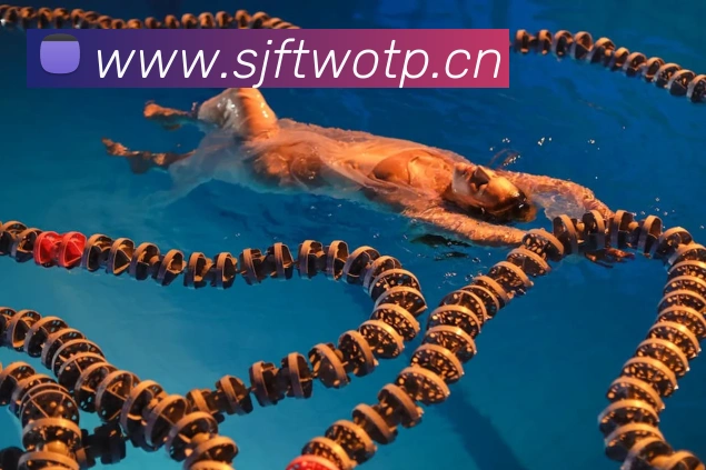 App Interface Preview