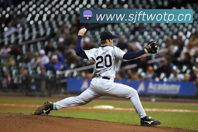 乐鱼体育登录网页入口APP 封面图